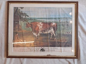 RETRATO DEL TORO DE CUERNOS CORTOS 'PATRIOTA' 1810, THOMAS WEAVER, ENG Wm WARD - Imagen 1 de 7