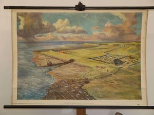 Landgewinnung Nordsee Küste Schafe Gehöft ~1954 Schulwandbild Wandbild 99x71cm - Bild 1 von 1