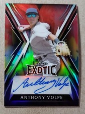 2023 Leaf Exotic Anthony Volpe Auto /8 New York Yankees #BA-AV2