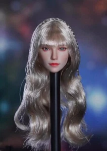 1/6 Female Long Silver Hair Head Sculpt For 12" PHICEN Suntan Action Figure Body - Picture 1 of 3