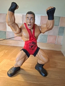 JAKKS WWE RING GIANTS ROB VAN DAM 14" AZIONE POSABILE sciolto 2006 - Foto 1 di 24