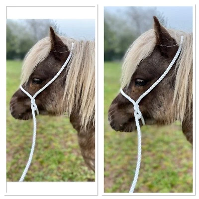 COBS AND COLOUREDS LTD MINI CABESTRO DE CUERDA BLANCO SHETLAND/SHETLAND 8 MM ECUESTRE *ENVÍO GRATUITO*