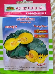 Thong Phun Thai Asian Pumpkin Seeds in factory-sealed packet - Picture 1 of 2