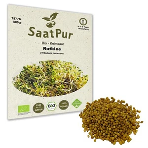 500g BIO Keimsaat für Sprossen Rotklee Samen Keimsprossen Microgreens Vegan Öko - Bild 1 von 5