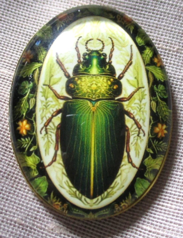 XL BOTÓN DE IMAGEN DE VIDRIO GRANDE REALISTA VERDE ESCARABAJO INSECTO VERDE FLORES BORDE Foto 1 de 3