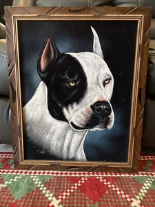 CANE PITBULL 18"X 22" DIPINTO A MANO, DIPINTO IN VELLUTO, CANI, INCORNICIATO, FIRMATO - Foto 1 di 4