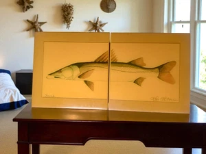 Snook Sidned Print on Glazed Ceramic Tiles By Bob Osborne 2- 12x12 Tiles - Picture 1 of 4
