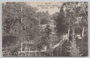 Harbor Springs Michigan, A Shady Drive Road Scene, 1919 MI Postcard - Imagen 1 de 2