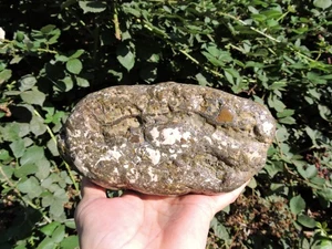 5 lb+ GALAXY Porphyry on GALAXY Rhyolite Nodule w/ Common Opal & Chalcedony Inc - Picture 1 of 24