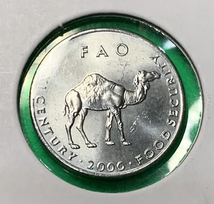 2000 Somalia 10 Shillings BU Coin – Camel Animal Wildlife Africa KM#20 UNC - Picture 1 of 3