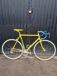 *NEW* Retro Road Bike Daccordi Furioso Vintage 57cm 700C Campagnolo 2x8 - Picture 1 of 17