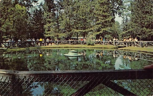 Postcard OH: The Blue Hole, Castalia, Ohio, Posted 1966 - Picture 1 of 2