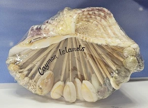 Selecciones de cócteles Sea Shell vintage con carcasa de plato - Islas Caimán - Nuevo en paquete y sellado - Imagen 1 de 6
