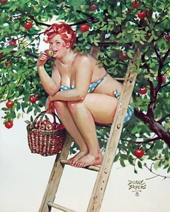 Impresión o lienzo - Hilda de Duane Bryers - Selección de manzanas - Imagen 1 de 1