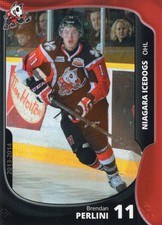 2013/14 Niagara IceDogs - BRENDAN PERLINI [Charlotte Checkers] AHL