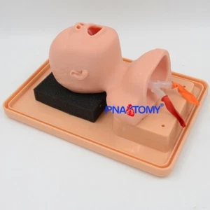 Newborn Neonatal tracheal intubation training model - Picture 1 of 6