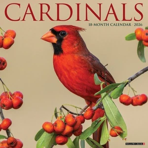 Calendario da parete Cardinals 2026 12" x 12" (spedizione gratuita) - Foto 1 di 5