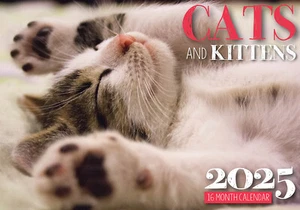 IG DESIGN GROUP Cats And Kittens - 2025 Rectangle Wall Calendar 16 Months Hanging Animal Planner