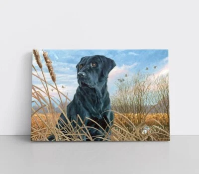 Impresión de arte de pared de lienzo enmarcado pintura de granja laboratorio negro de perro de caza de colección Foto 1 de 4