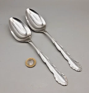 2 Vintage Oneida Flirtation Pattern Silver Plated Serving Spoons -20.5cm Unused - Picture 1 of 6