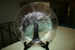 Plato de cena Arcoroc Canterbury Crocus de vidrio transparente de 10" - Imagen 1 de 2