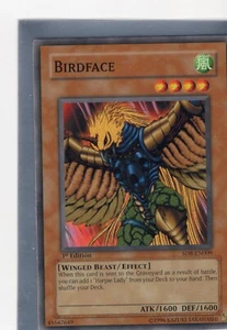 Birdface - Cubierta de estructura: Señor de la tormenta - Imagen 1 de 2