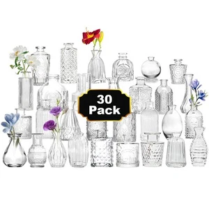30Pcs Glass Bud Vase Set - Picture 1 of 5