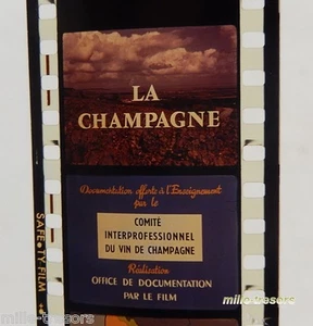 Film documentaire Ecole ODF : La CHAMPAGNE - VIN de CHAMPAGNE - Picture 1 of 4