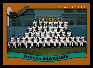 2002 Topps Florida Marlins Team Card Florida Marlins #652 Centered Mint