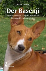Der Basenji: Das kleine wilde Ding aus dem Busch - Rasseprofil und Anekdoten Das - Bild 1 von 1