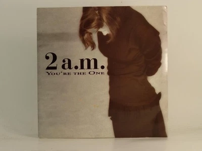 2 A.M. YOU'RE THE ONE (1) (78) 2 Track 7" Single including Picture Sleeve RCA - Image 1 of 4