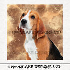 Dog Beagle Dog Portrait Fabric Craft Panels in 100% Cotton or Polyester