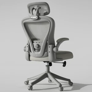 Mesh Office Chair with Adjustable Lumbar Support  High Back Computer Desk Chair - Picture 1 of 42