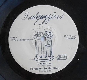 The Gertz Mountain Budguzzlers EP Record Go Surfin’ Private Press Garage Rock  - Picture 1 of 4
