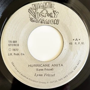 Obscure, 1977 Private Press 45, Gay Protest "Hurricane Anita" L FRIZZEL, Queer - Picture 1 of 4