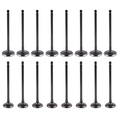 Kit de válvula de motor entrada e exaustão para Hyundai Tucson Elantra GT 2.0L 2014-2018 - Imagem 1 de 4