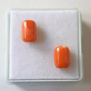 Match Paar 100% natürliche japanische Meereskoralle Cabochon, handgefertigte Koralle, lose Edelsteine - Bild 1 von 5