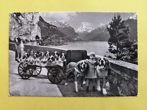 cpsm Suisse Schweiz FLÜELEN Attelage de Chiens SAINT BERNARD Dog Team Squadra - Picture 1 of 1