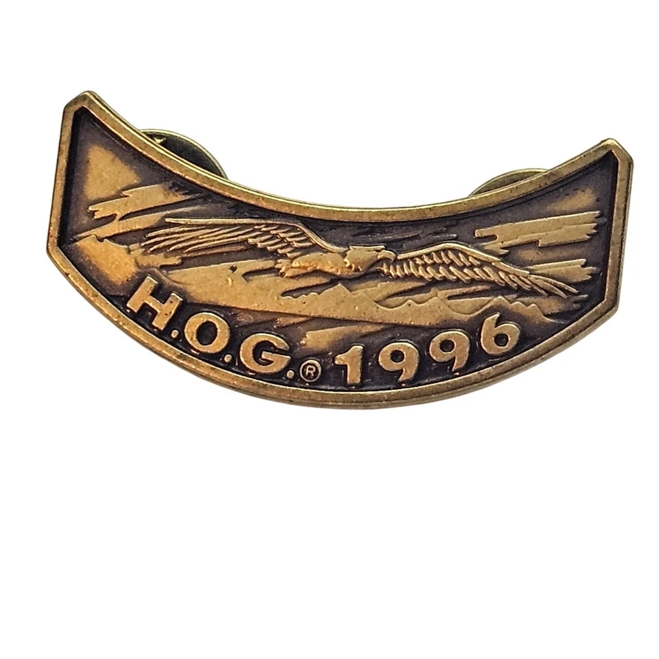 Harley Davidson HOG 1996 Harley Owners Group chaleco sombrero pinback Foto 1 de 2