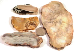 4 Cool Agates & Jaspers Total 7.8 Ounces Free Shipping 1st Picture Wet #3605 - Picture 1 of 4