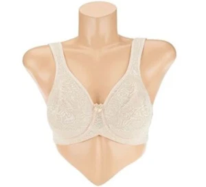 Breezies~Wild Rose Lace Seamless Underwire Bra~A260366, A679226~No Padding - Picture 1 of 13