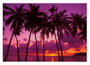 XXL Poster 100 x 70cm Palmen am Strand Thailand tropische Insel (F235) gerollt - Bild 1 von 1
