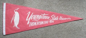orig. 1968 YOUNGSTOWN STATE UNIVERSITY **Fußball Heimkehr** VINTAGE WIMPEL - Bild 1 von 4
