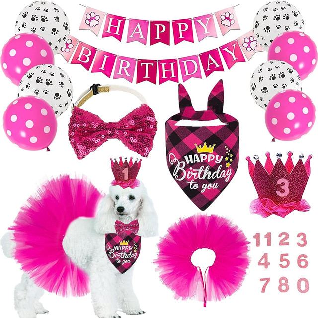  Perktail Glitter Dog 1st Birthday Cone Pom Pom Hat and Bow Tie  Set New Yew Dog Outfits Doggy Cat Kitty Party Hats (Gold & Black) : Pet  Supplies