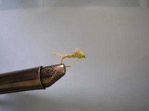 CALLIBEATIS EMERGER OLIVE #12,14,16 Two of each size ( 6 - Pack ) - Photo 1 sur 1