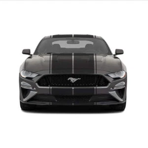 Dual 12" Racing Stripes w/pins Self Healing Vinyl fits Ford Mustang 2015 2023 - Picture 1 of 16
