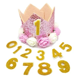 Pink Crown Dog Birthday Party Hat for Girls Reusable Birthday Party Cat Kitte... - Picture 1 of 7