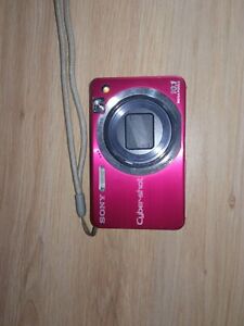 Sony Cybershot 10.1 Mega Pixel Red Pink Camera DSC-W170 WORKS 