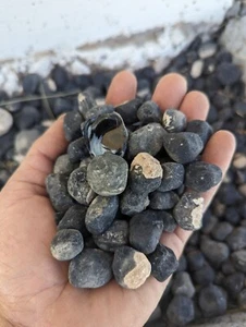 Roher einheimischer Arizona Apache Tränen Obsidian - 1 Pfund Schüttgut Naturstein - Bild 1 von 7