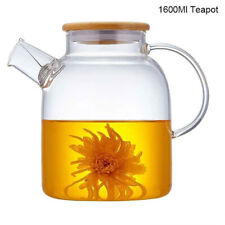New Heat Resistant Glass Teapot Tea Set Clear Kettle Flower Puer Tea Infuser Pot